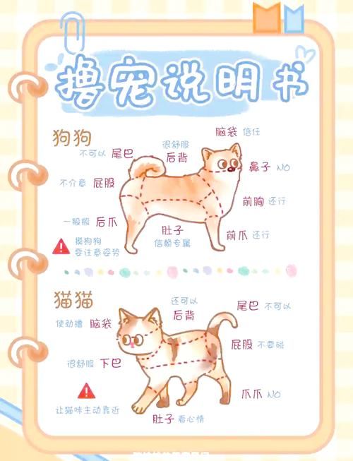 疯狂宠物2新手入门指南，快速上手，成为宠物大师！