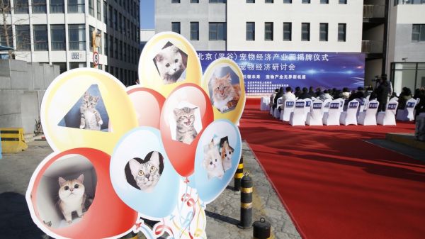 北京首家宠物经济产业园亮相平谷