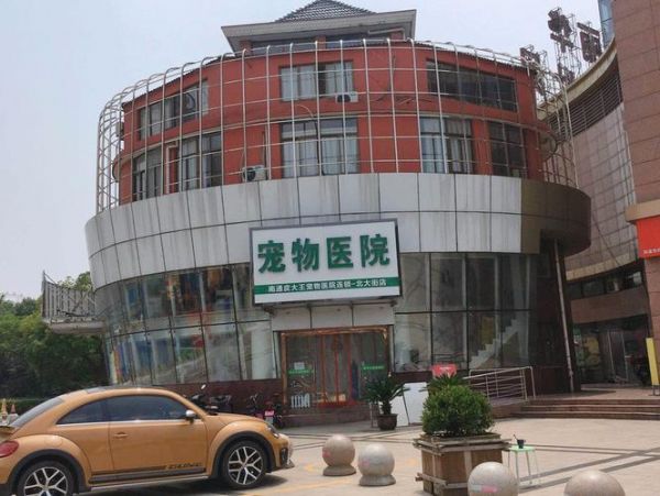 北仑宠物医院,北仑宠物医院24小时