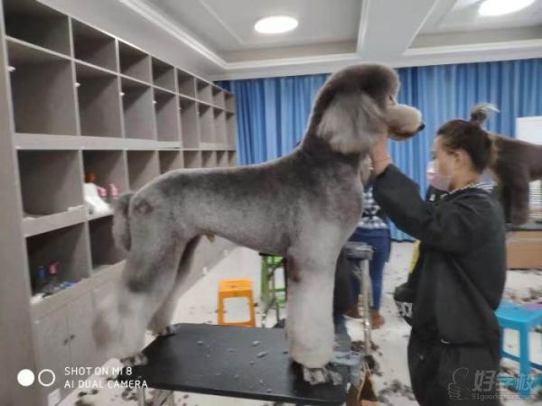 上课现场