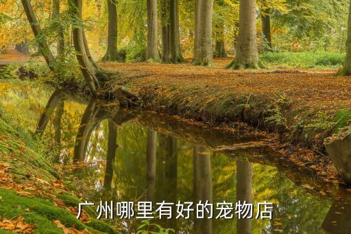 广州哪里有好的宠物店