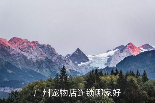 广州宠物店连锁哪家好