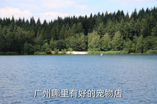广州哪里有好的宠物店