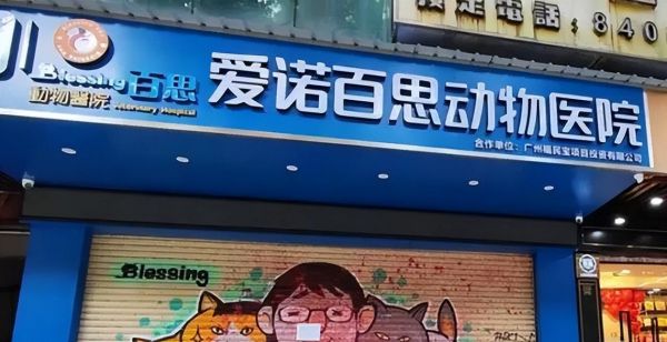 广州宠物医院（探索广州地区最好的宠物医疗服务和专家团队）