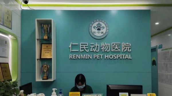 广州宠物医院（探索广州地区最好的宠物医疗服务和专家团队）