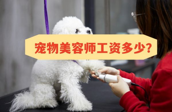 北京宠物美容师月工资能拿多少.jpg
