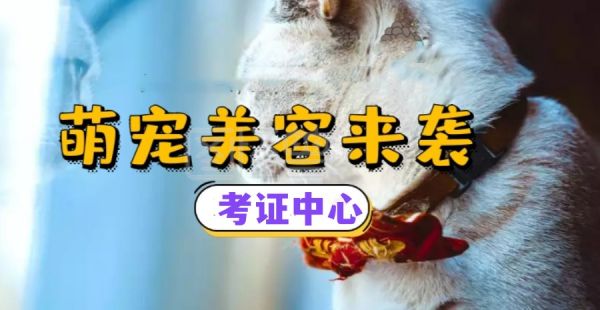 北京宠物美容师月工资能拿多少9.jpg