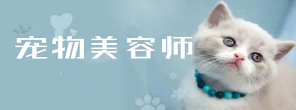 北京宠物美容师月工资能拿多少.jpg