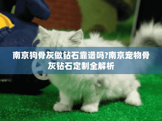南京狗骨灰做钻石靠谱吗?南京宠物骨灰钻石定制全解析