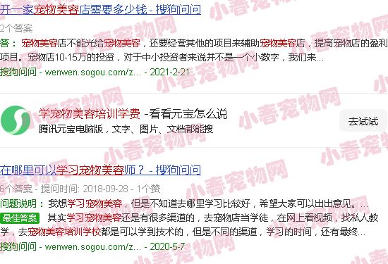学宠物美容培训学费