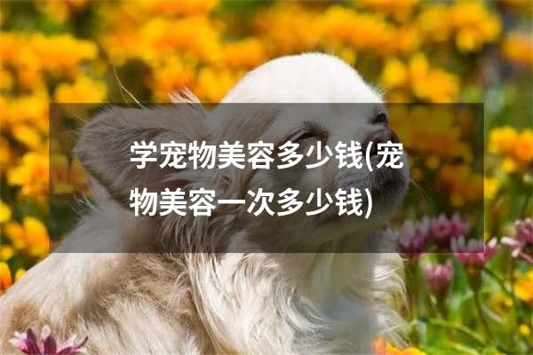 学宠物美容多少钱(宠物美容一次多少钱)