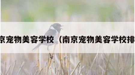 南京宠物美容学校（南京宠物美容学校排名）