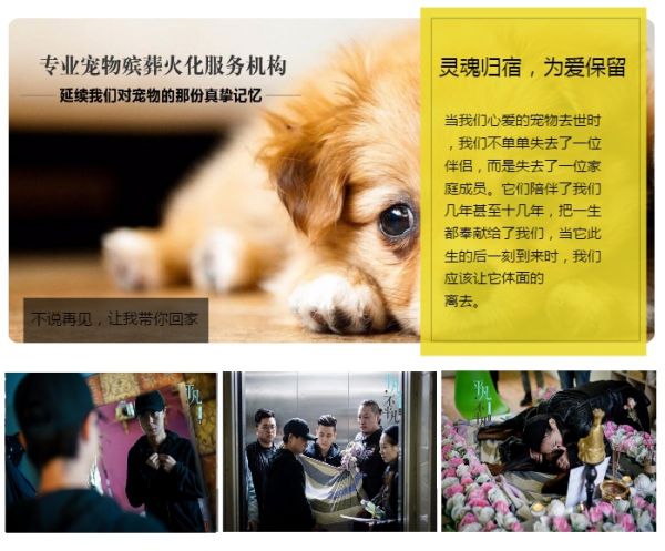 南通宠物火化品牌排行