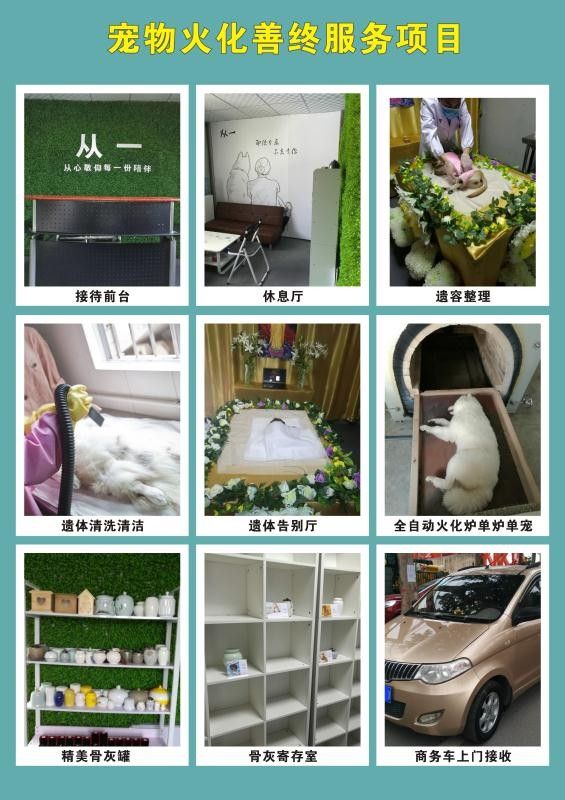 南通宠物火化品牌排行