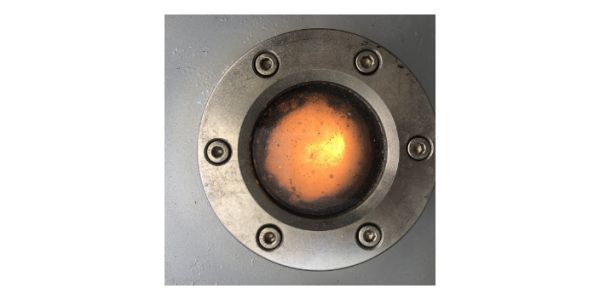 南京连锁宠物火化价格 上海宠淘宠物供应