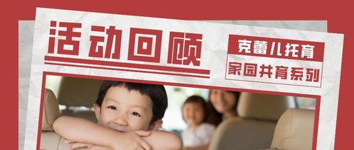 月大英短养护攻略：科学喂养，健康成长！