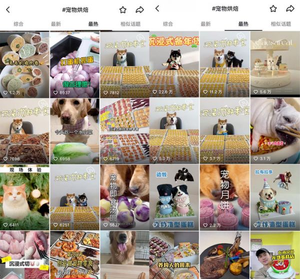 图片来源：抖音平台搜索截图