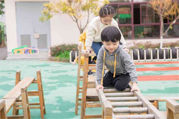 全面攻略：小猫养育技巧与常见问题解答指南