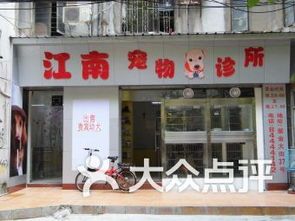 咸宁宠物医院：宠物健康护理指南？咸宁市最受欢迎的宠物医院排行榜
