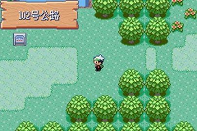 宠物小精灵绿宝石 v4.5.0