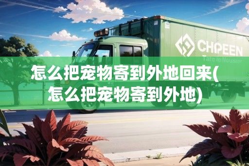 怎么把宠物寄到外地回来(怎么把宠物寄到外地)