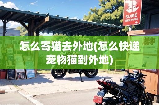 怎么寄猫去外地(怎么快递宠物猫到外地)