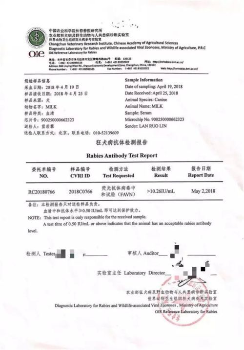 怎么带宠物出国？宠物出国前的准备清单