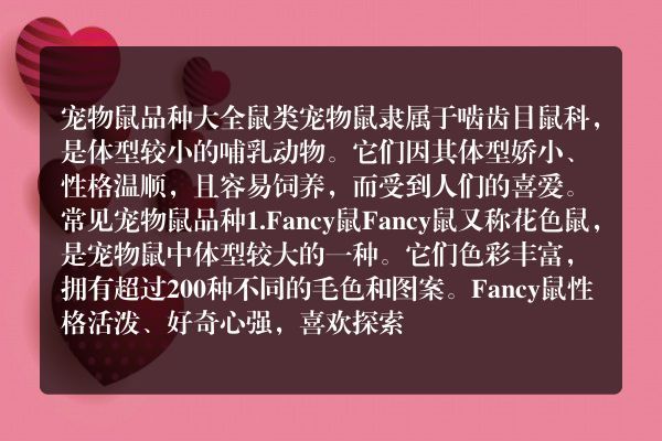宠物鼠品种大全 鼠类