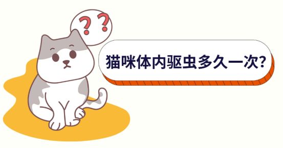 猫咪体内驱虫的方法