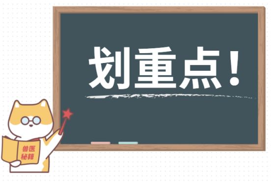 怎么给猫咪体内驱虫？
