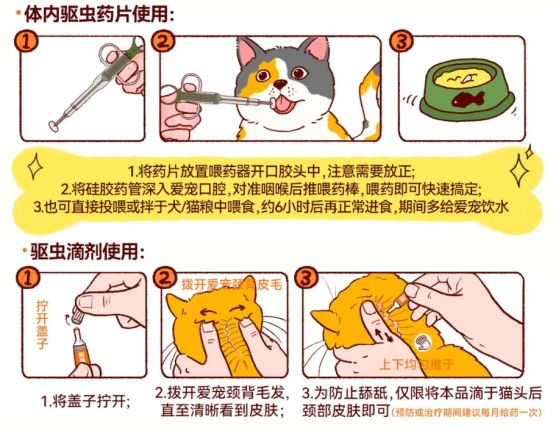 猫咪体内驱虫的方法
