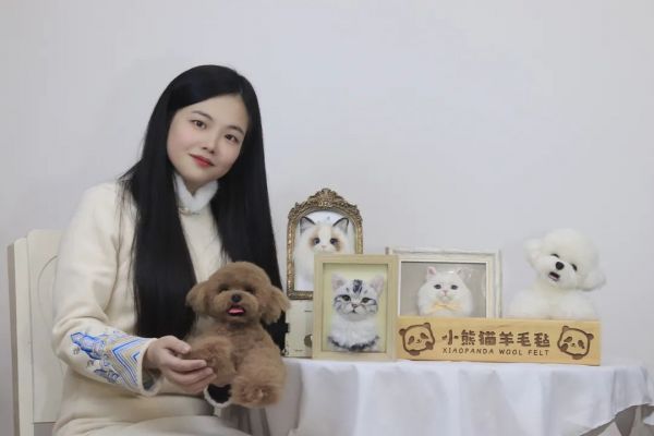 宠物羊毛毡作品