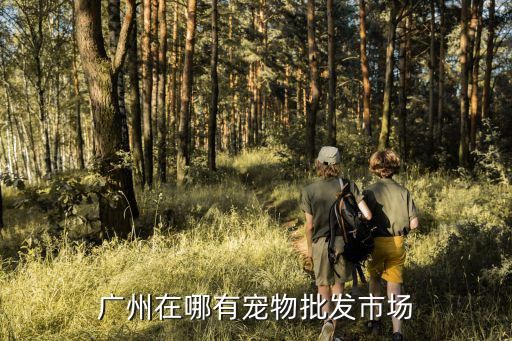 广州在哪有宠物批发市场