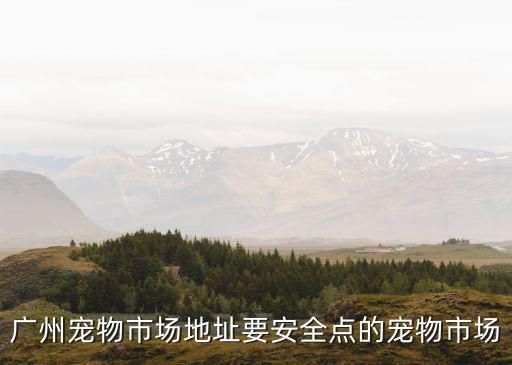 广州宠物市场地址要安全点的宠物市场