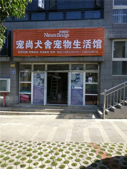 宠物批发店便宜吗（宠物批发零售）