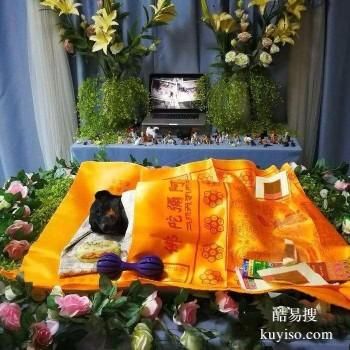 长春德惠猫咪火葬价格美丽