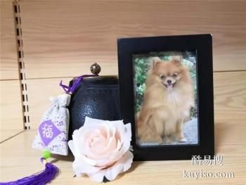 长春德惠猫咪火葬价格美丽