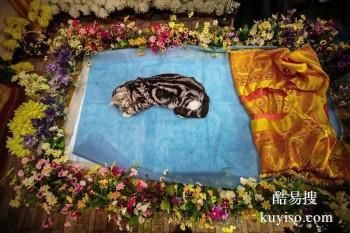 遵义习水猫咪火葬价格美丽