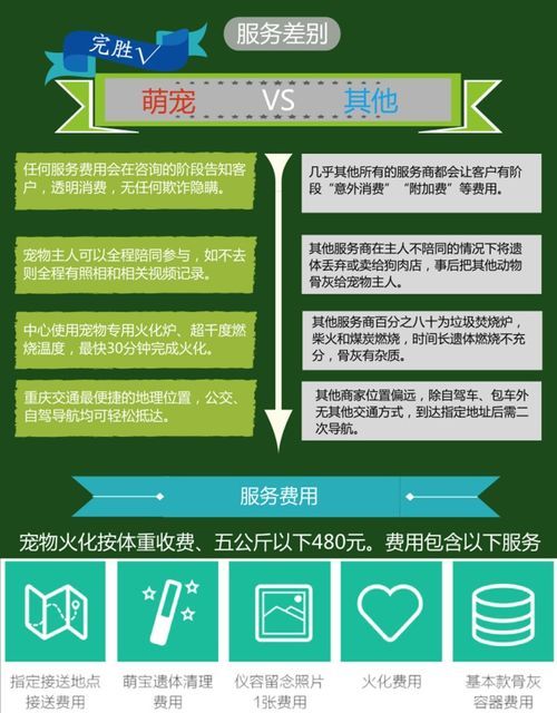 宠物火葬：如何为宠物送别？全国宠物火葬服务机构排行榜