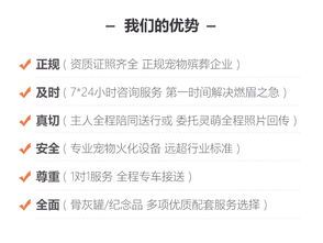 宠物火葬：如何为宠物送别？全国宠物火葬服务机构排行榜
