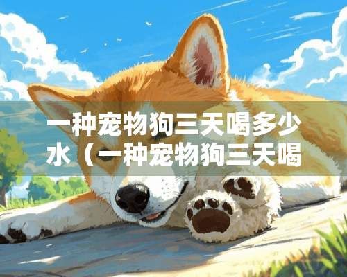 一种宠物狗三天喝多少水（一种宠物狗三天喝多少水啊）
