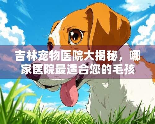 吉林宠物医院大揭秘，哪家医院最适合您的毛孩子？吉林哪个宠物医院好一点