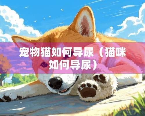 宠物猫如何导尿（猫咪如何导尿）