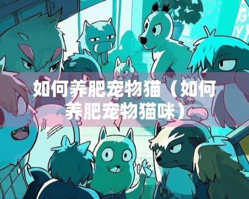 如何养肥宠物猫（如何养肥宠物猫咪）