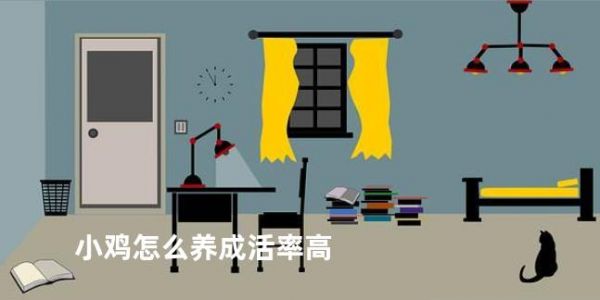 小鸡怎么养成活率高