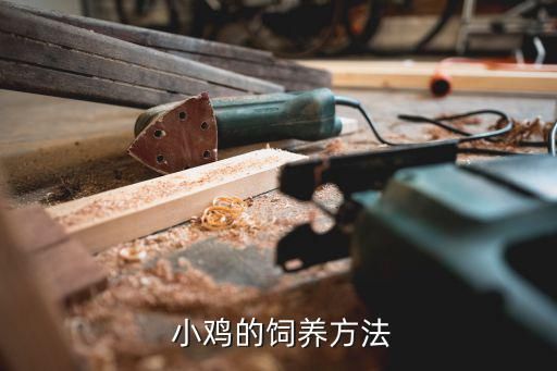  小鸡的饲养方法
