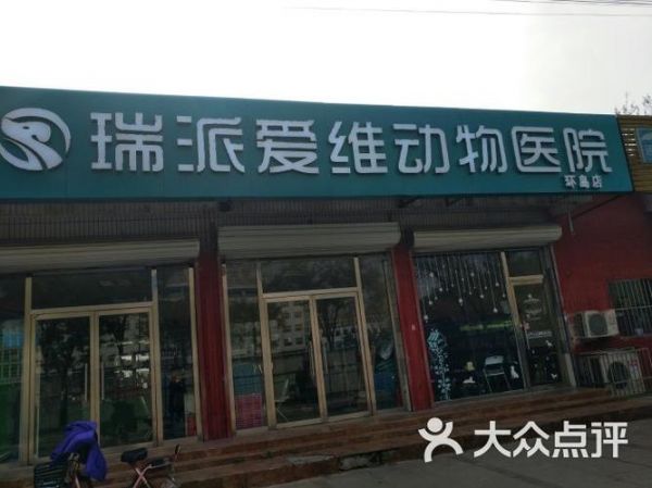 燕郊哪有宠物市场-第1张图片-彩蝶百科