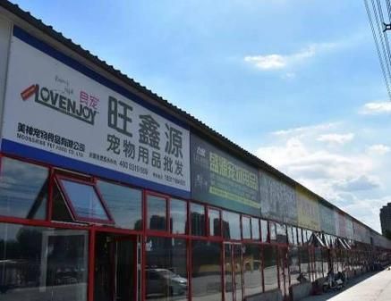 燕郊宠物用品,燕郊宠物用品批发市场