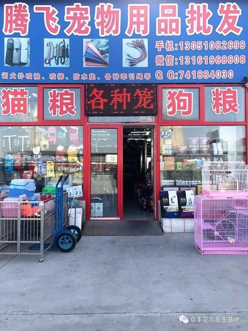 燕郊宠物用品,燕郊宠物用品批发市场