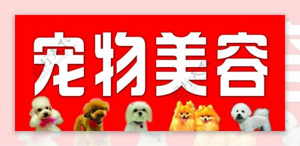 宠物美容门头招牌图片